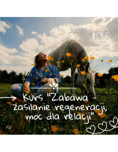 Kurs - Zabawa - zasilanie regeneracji, moc dla relacji